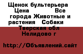 Щенок бультерьера › Цена ­ 35 000 - Все города Животные и растения » Собаки   . Тверская обл.,Нелидово г.